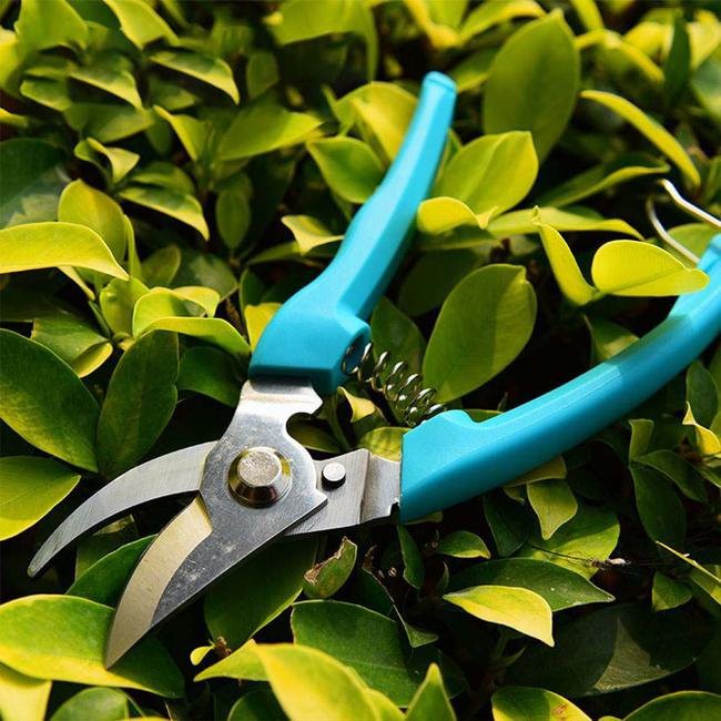 product-400-1 Garden Shears Small Cutting Tool scene