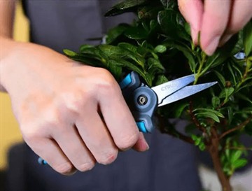 Zašto smo lansirali nove i veće škare