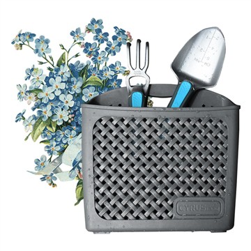 Odličan način za sadnju u teglici za cvijeće