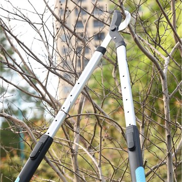 Obrezivanje i obrezivanje: Briga o vrtu moje obitelji