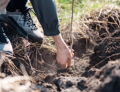 Razigrani koraci za kopanje kroz korijenje
