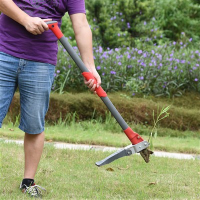 Stand up Weeder za korenje bez napora