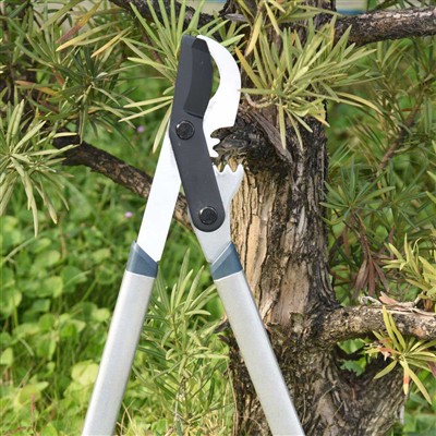 Najbolji alat za obrezivanje grana su škare za zaobilaženje