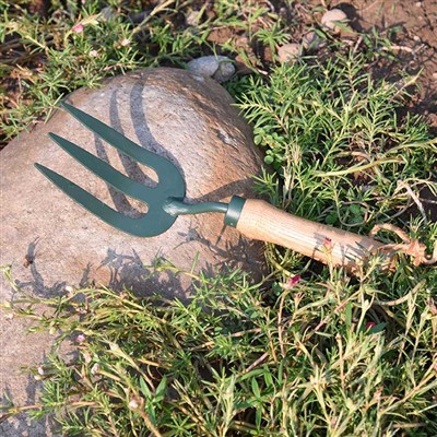 Svakodnevne avanture vrtnog alata