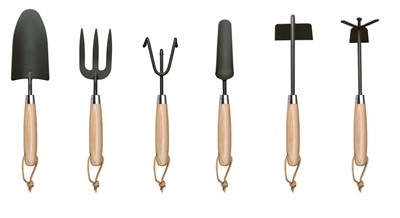 Sadnja rajčice kod kuće