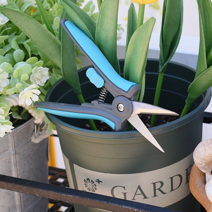 Pruning Shears Small Hands