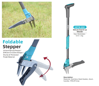 Obilježavanje praznika sredine jeseni diljem svijeta: harmonija tradicije i v...