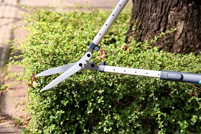 Vrhunski vodič za njegu smica