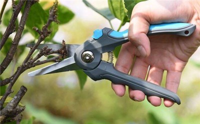 Stainless garden bypass pruners shears operation Stainless garden bypass pruners shears operation