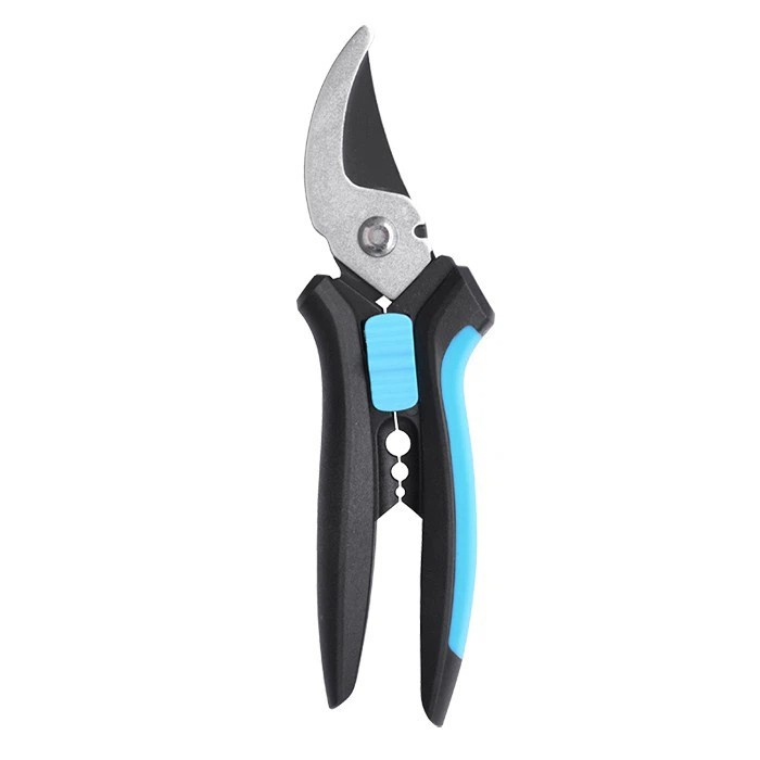 Profesionalni ružičari